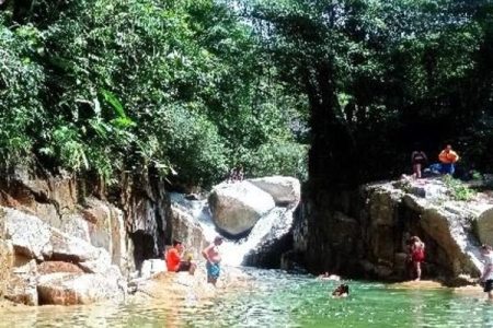 Ruta Túnel, Rieles y Panela en Cisneros (desde Medellín)