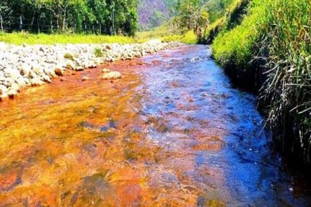 Expedición al Nusito en Cisneros (salida desde Medellín)