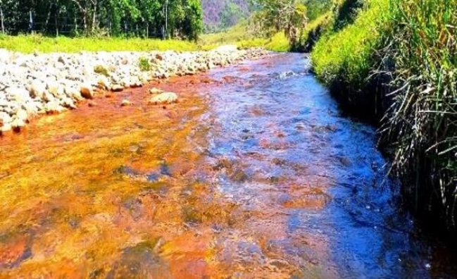 Expedición al Nusito en Cisneros (salida desde Medellín)