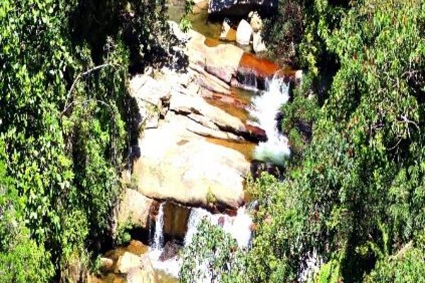 Que Hacer en Medellin