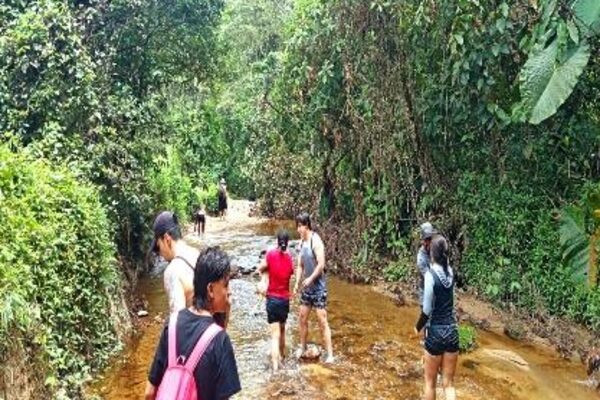 Que Hacer en Medellin