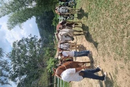 Cabalgata en Yolombó, Antioquia (salida desde Medellín)