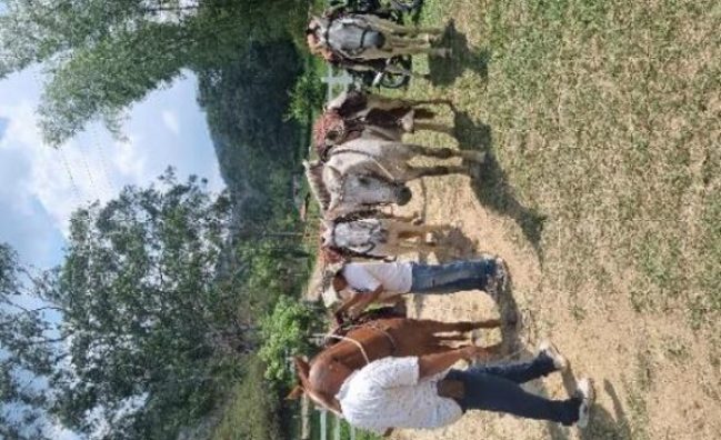 Cabalgata en Yolombó, Antioquia (salida desde Medellín)