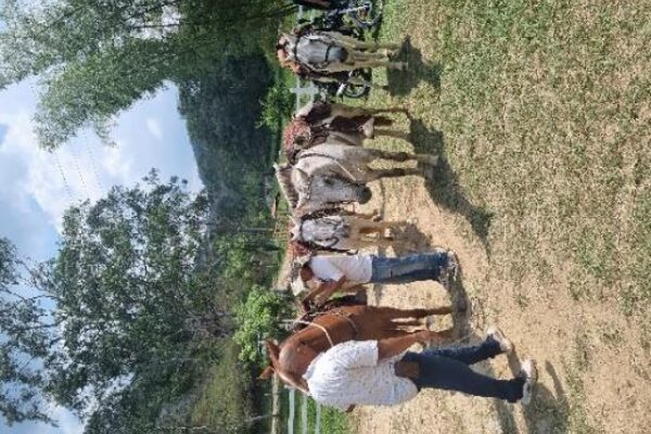 Cabalgata en Yolombó, Antioquia (salida desde Medellín)