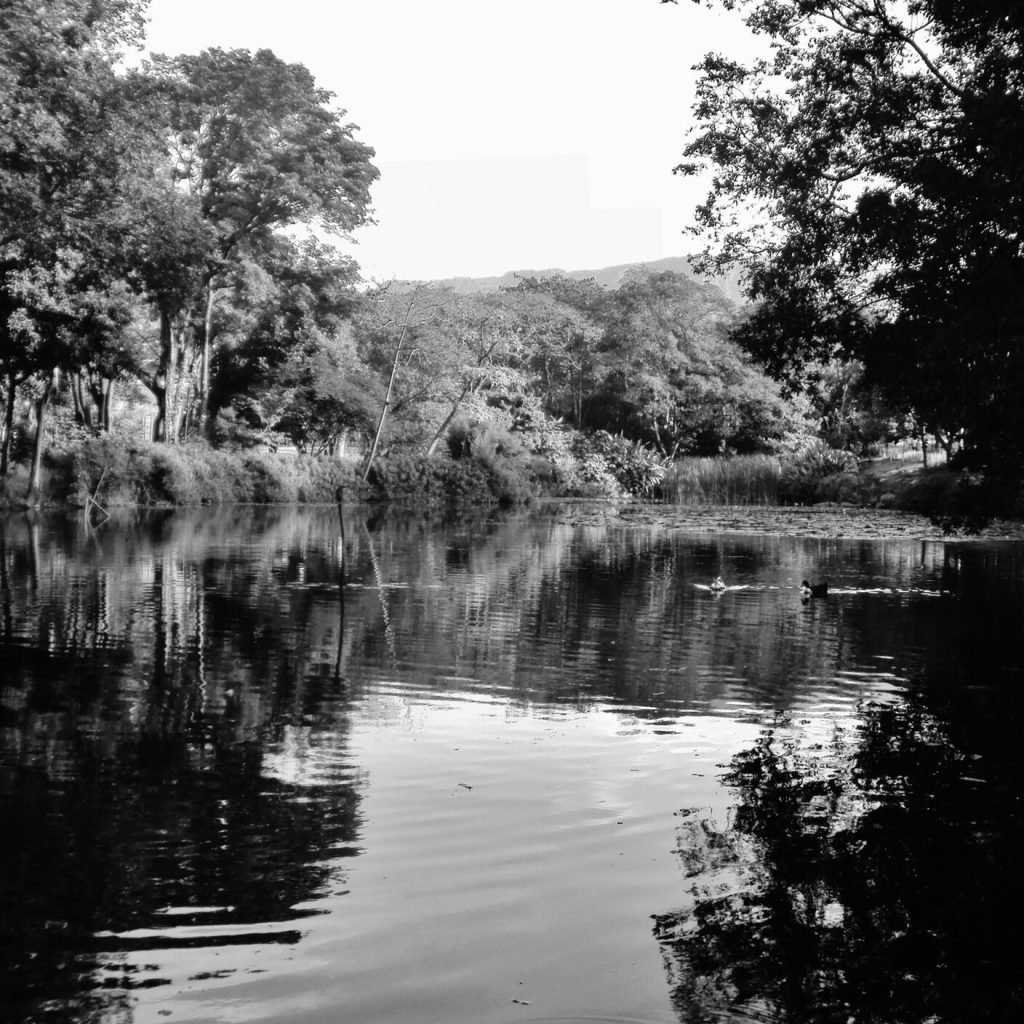 Jardín Botánico de Medellín