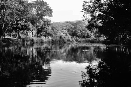 Jardín Botánico de Medellín