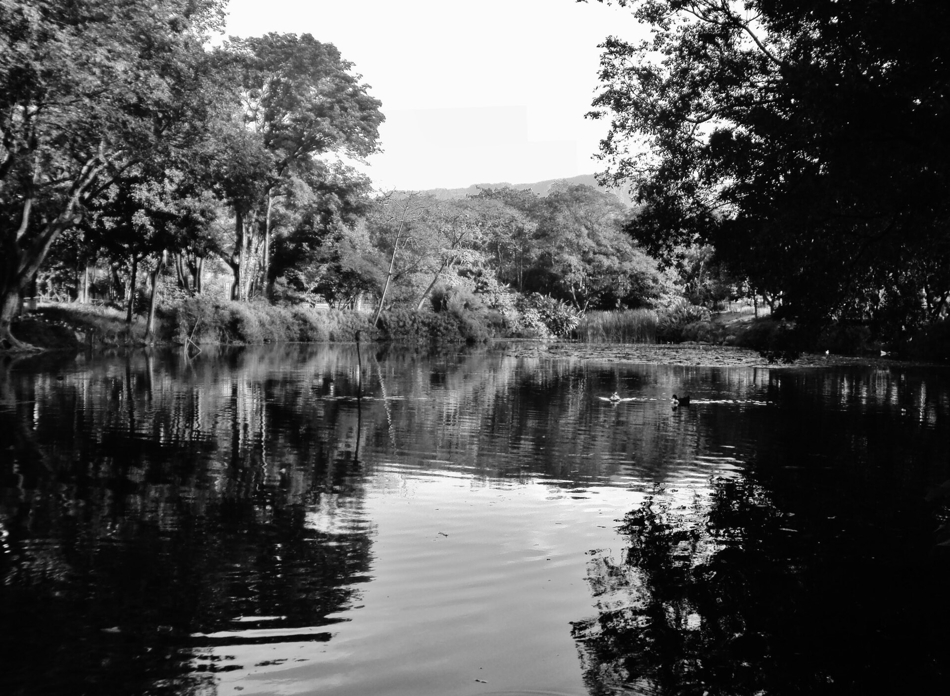 Jardín Botánico de Medellín