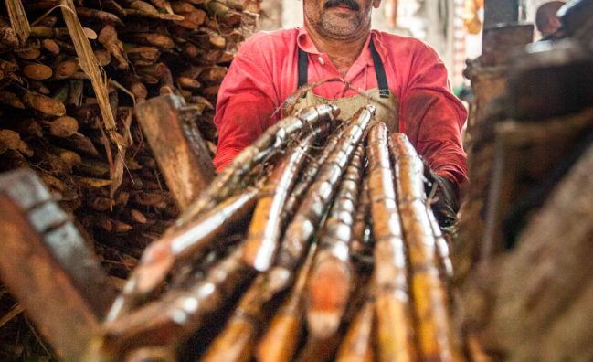 Inmersión Total en Cisneros: Rieles, Montañas y Tradición